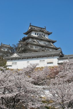 kiraz çiçekleri, himeji Kalesi