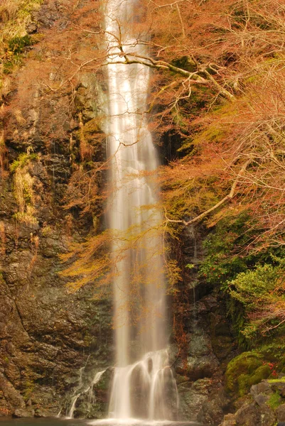 Herbst Blick auf majestätischen Wasserfall — Stockfoto