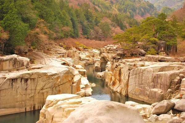 stock image Ravine surrounded with huge rocks