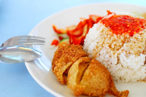 Asian style vegetarian chicken rice — Stock Photo, Image