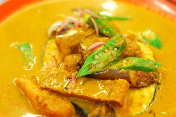 Curry vegetariano cinese — Foto Stock