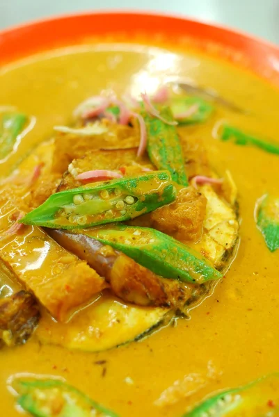 Pesce asiatico al curry — Foto Stock