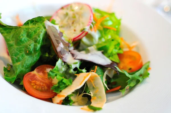 Zdravé a výživné zeleninový salát — Stock fotografie