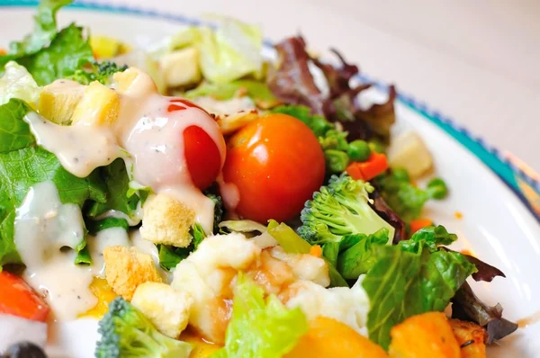 Sağlıklı sebze salatası — Stok fotoğraf