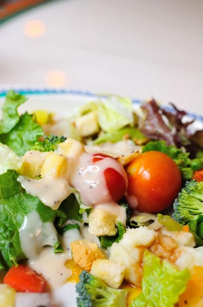 Barevné a zdravý vegetariánský salát — Stock fotografie