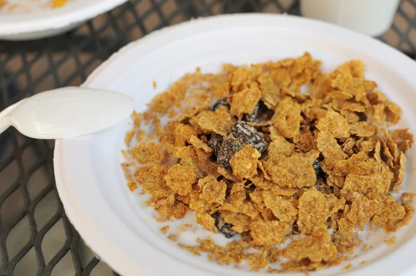 Healthy cereal breakfast — Stock Photo, Image