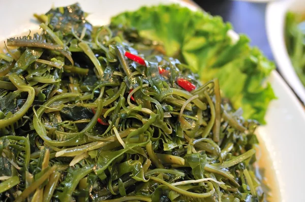 緑の健康な海藻料理 — ストック写真