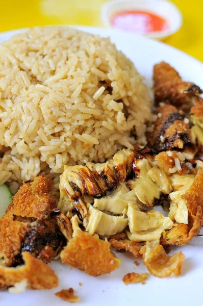 Delizioso riso di pollo — Foto Stock
