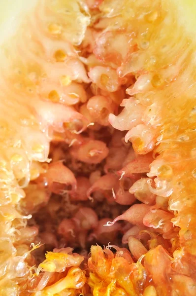 Closeup of cut fig — Stock Photo, Image