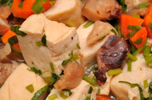 Makro av tofu delikatess — Stockfoto