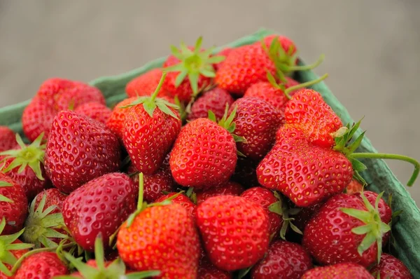 Healthy berries — Stock Photo, Image