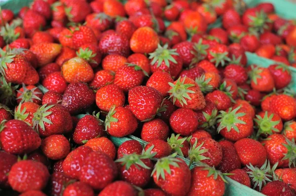 Many strawberries — Stock Photo, Image