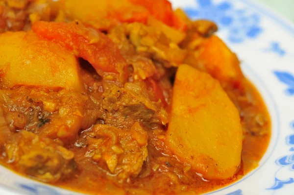 Macro di piatto di curry piccante — Foto Stock
