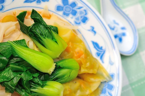 Orientaliska hänsynslösa dumplings med friska grönsaker — Stockfoto