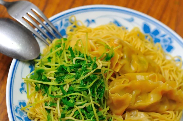 Healthy vegetarian dumpling noodles — Stock Photo, Image