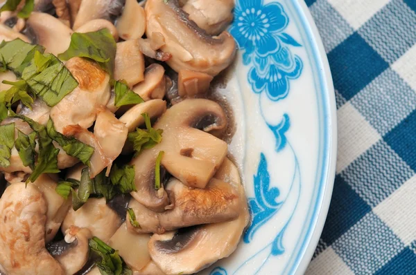 Simple cooked fresh mushroom dish — Stock Photo, Image