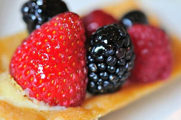 Macro de frambuesa y boysenberry — Foto de Stock
