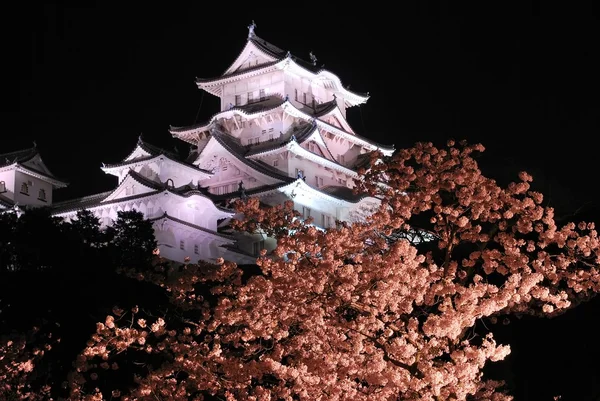 Flores de cerezo en el castillo de Himeji — Foto de Stock