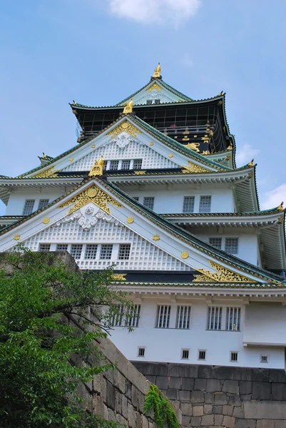 Majestuoso, castillo japonés — Foto de Stock
