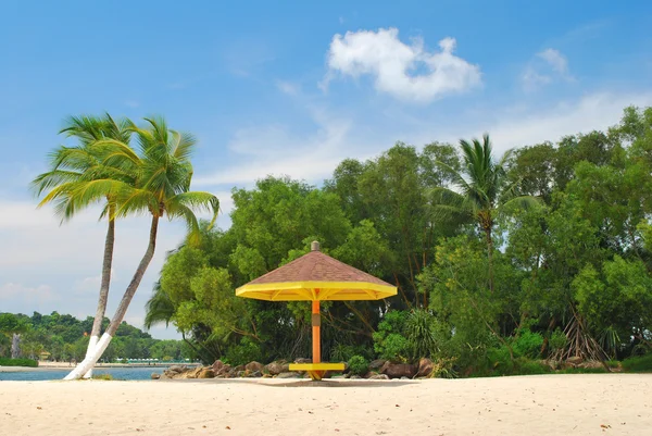 Tropiska kokospalmer och hut — Stockfoto