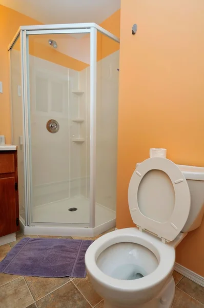 Toilet en douche kamer — Stockfoto