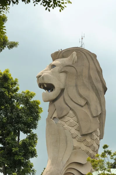 stock image Stone statue of Singapore's symbol