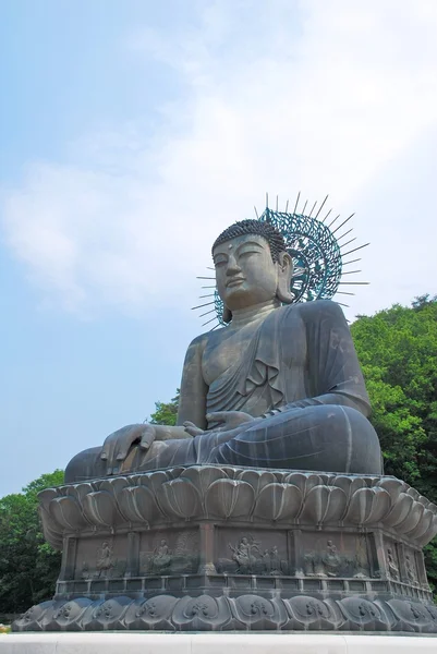 Maestosa statua buddha — Foto Stock