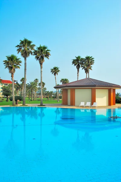 Huge swimming pool and tropical coconut trees — Stock Photo, Image