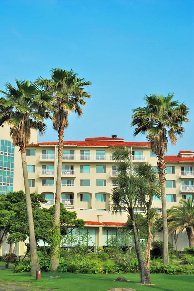 Tropische Kokospalmen und luxuriöse Resorts — Stockfoto