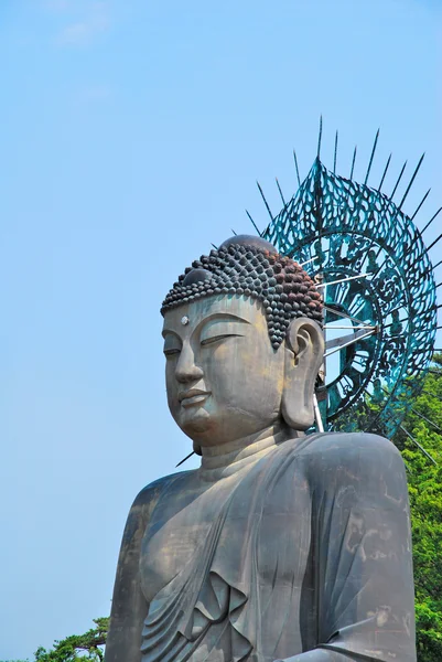 Fenséges buddha szobor — Stock Fotó