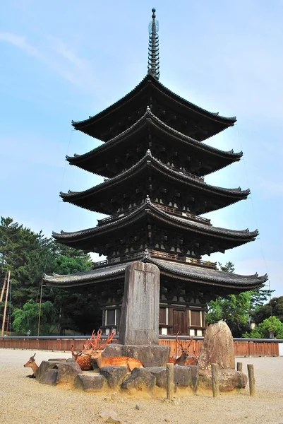 Deers flocking in front of majestic pagoda — Stock Photo, Image