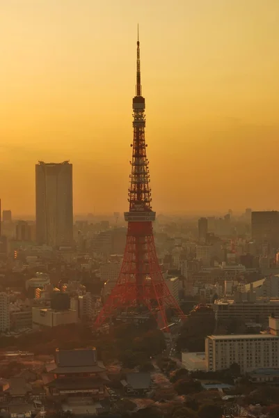 Sonnenuntergang Blick auf Tokyo Tower — Stockfoto