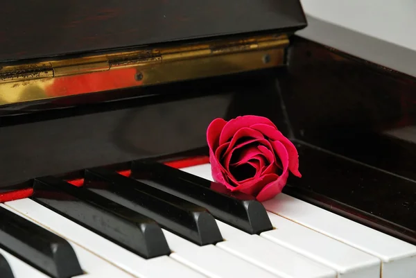 Primer plano de rosa en el teclado del piano —  Fotos de Stock