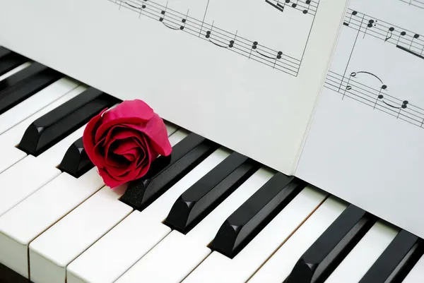 Rose rouge et partition musicale sur clavier piano — Photo