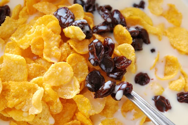 Healthy cereal in soya milk — Stock Photo, Image