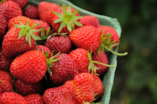 Closeup of healthy fruit — Stock Photo, Image