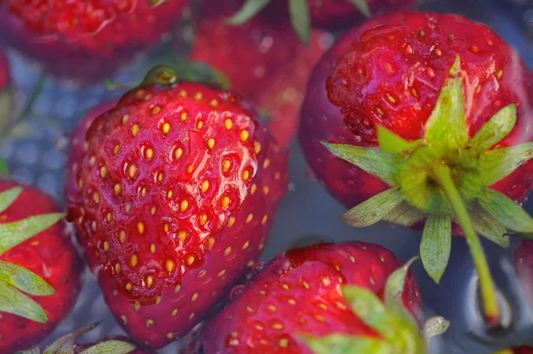 Fresh strawberries in water — Stock Photo, Image