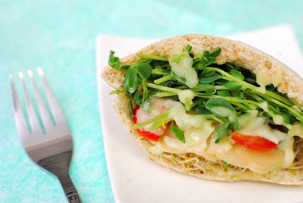 Healthy pita bread pocket salad