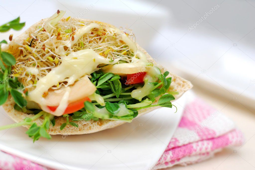 Closeup of healthy pocket salad sandwich