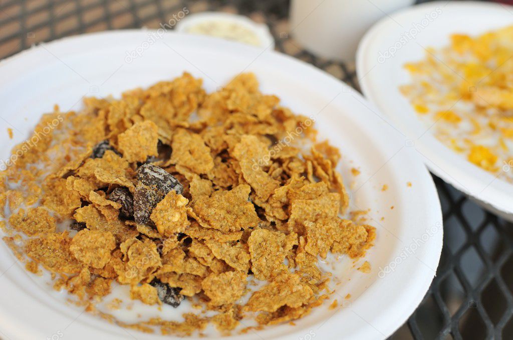 Cereal with dried fruits