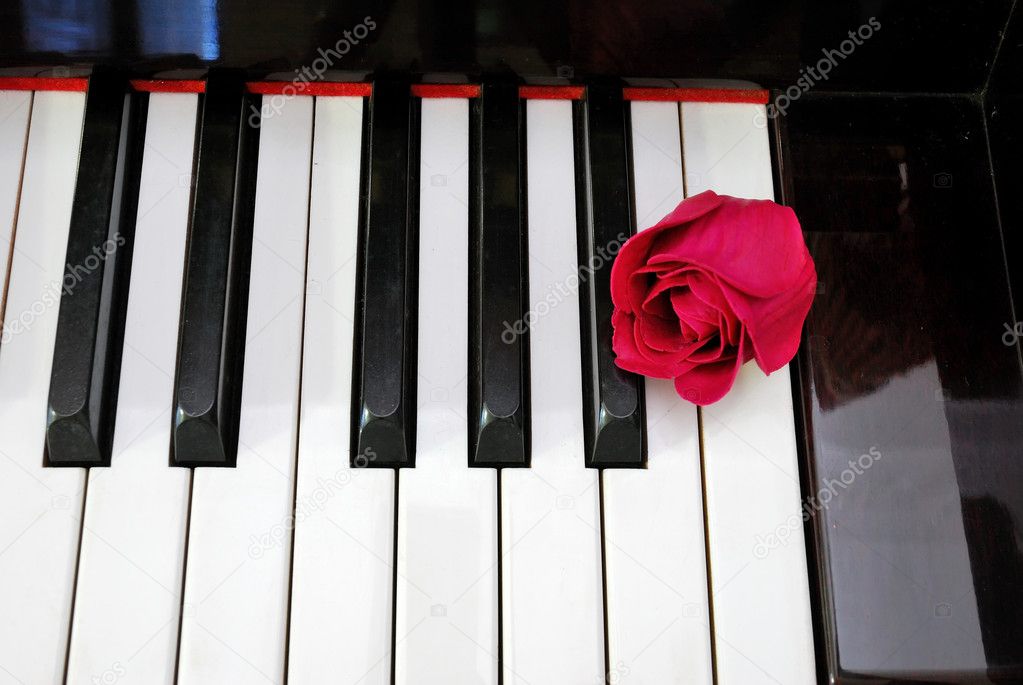 piano with rose black and white