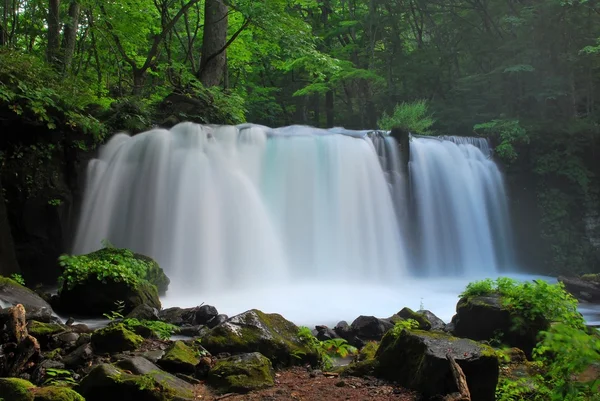 Majestätiska vattenfall i vildmarken — Stockfoto