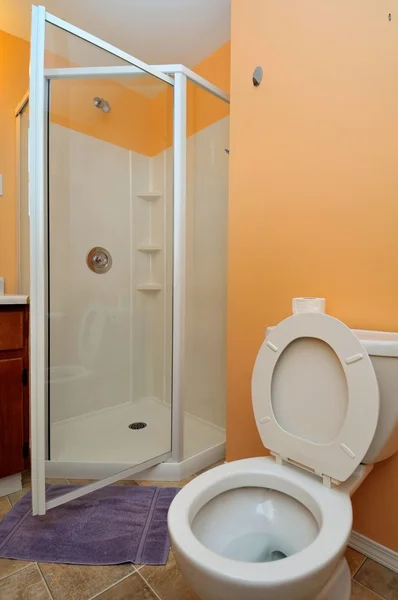 トイレと開いたシャワーのドア — ストック写真