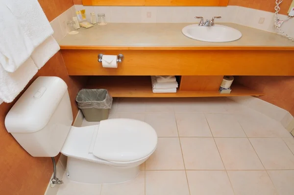 Toalett och tvättavdelning — Stockfoto