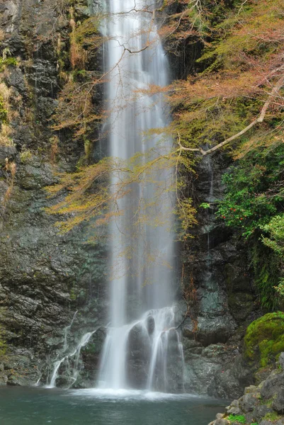 雄大な滝、川に流れ込む — ストック写真