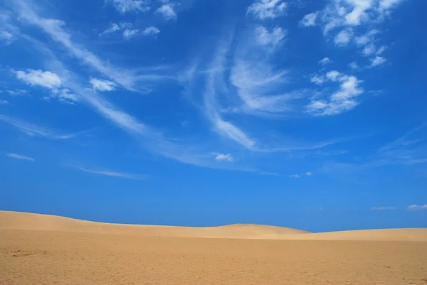 Deserto quente e seco — Fotografia de Stock