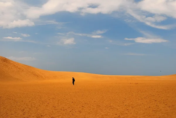 Strandet i en varm og tørr ørken – stockfoto