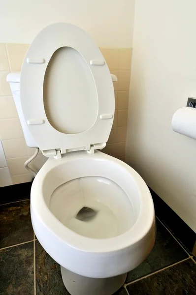 Obecný záchodové prkýnko a mísa — Stock fotografie