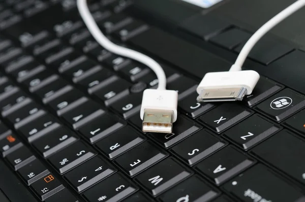 Data cable on keyboard — Stock Photo, Image