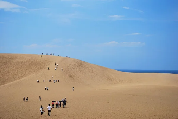 Tottori dunas de arena — Foto de Stock